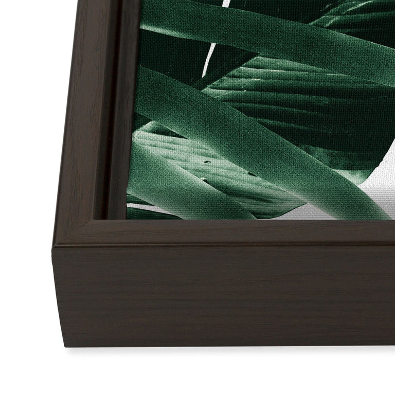 Tropical Jungle Leaves 4 Art Canvas
