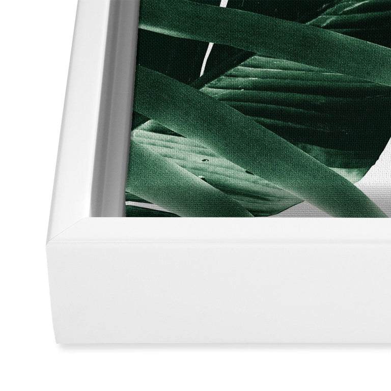 Tropical Jungle Leaves 4 Art Canvas