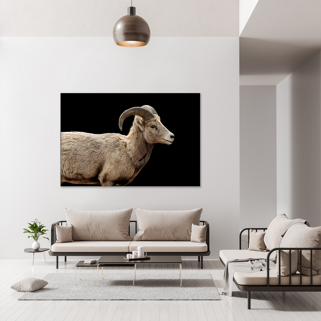 Bighorn I by Adam Mowery