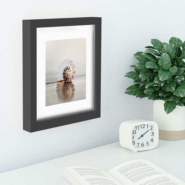 Seashell Recessed Framing Rectangle