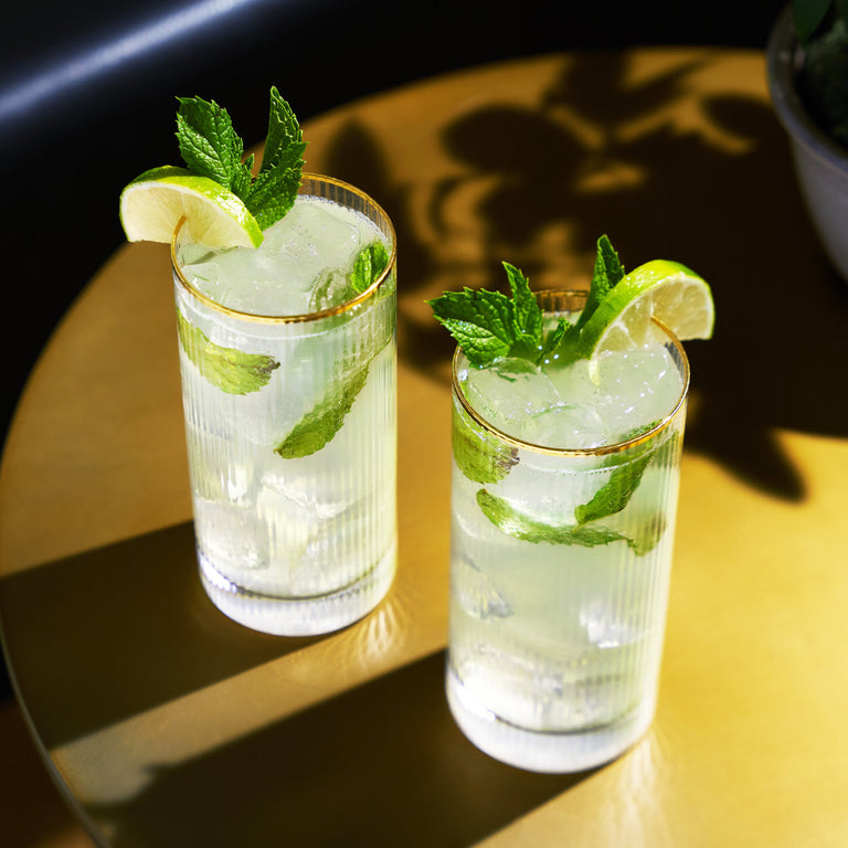 MERIDIAN HIGHBALL TUMBLERS