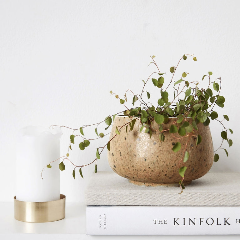 THE DIVA JAR (INDIA) | CONTAINER