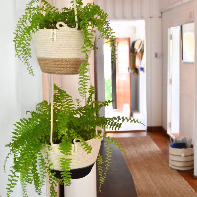 JUTE BLOCK HANGING PLANTER (SOUTH AFRICA)