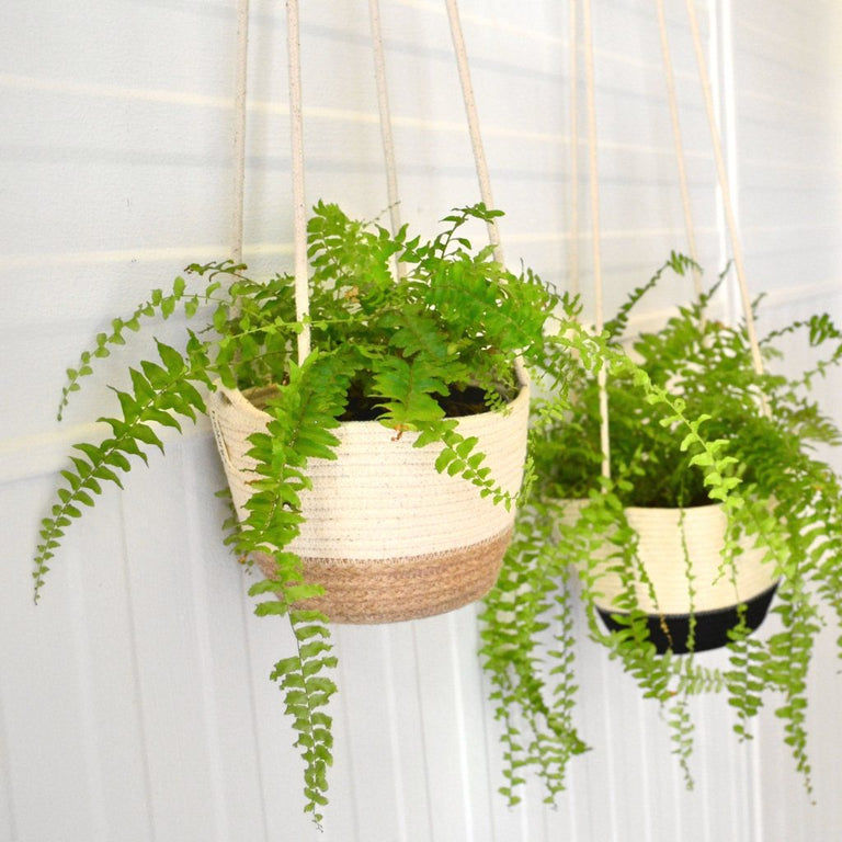 JUTE BLOCK HANGING PLANTER (SOUTH AFRICA)