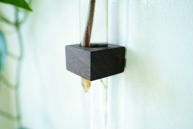 Magnetic Flower & Propagation Vase by Iron Roots Designs | made in Berkeley, CA