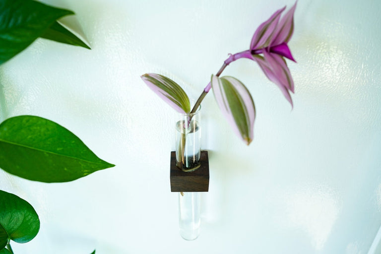 Magnetic Flower & Propagation Vase by Iron Roots Designs | made in Berkeley, CA