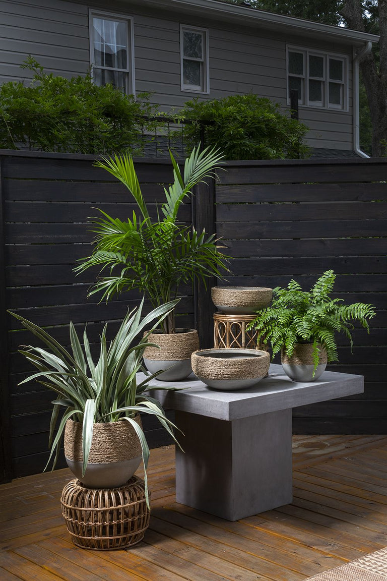 REED BOWL | BOWL