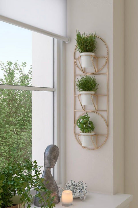 The Best Wall Planters for Apartments