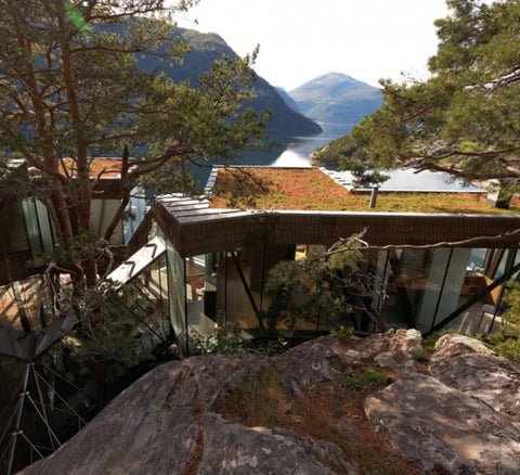 On a forested cliff by Storfjorden, Norway...