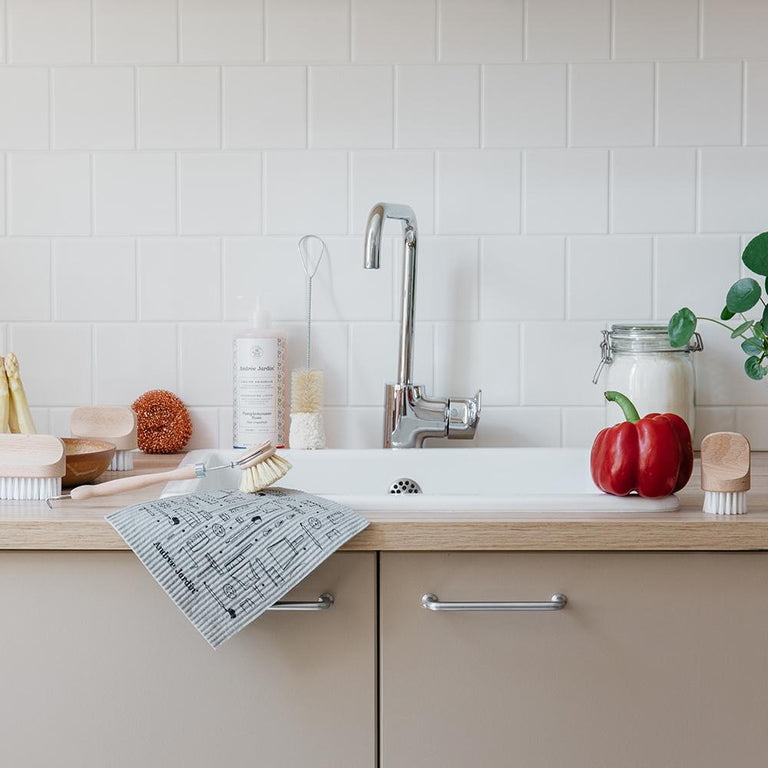 ANDREE JARDIN HANDLED DISH BRUSH | TABLETOP : KITCHEN : STORAGE & ORGANIZATION