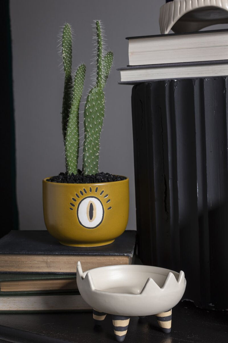 CHOMP CLAW POT | FLORA