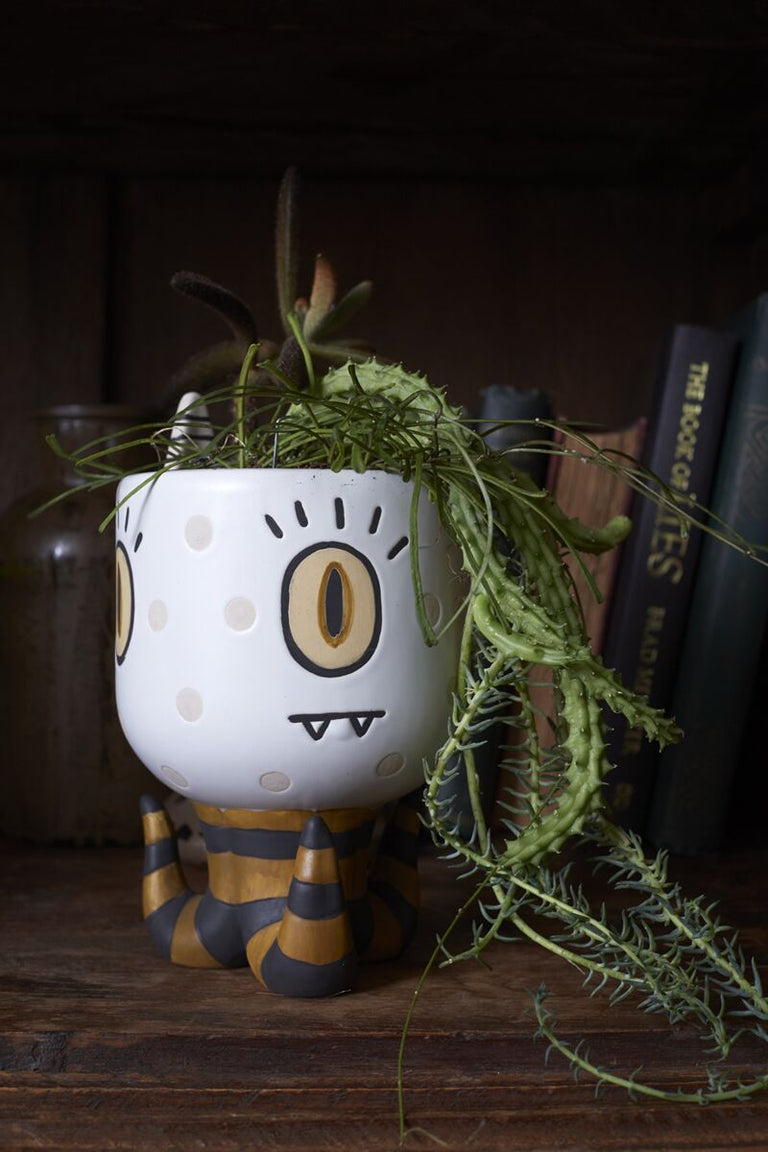 WIGGLES TENTACLE POT | FLORA