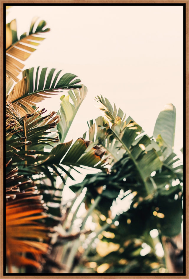 Paradise III by Alicia Bock | stretched canvas wall art
