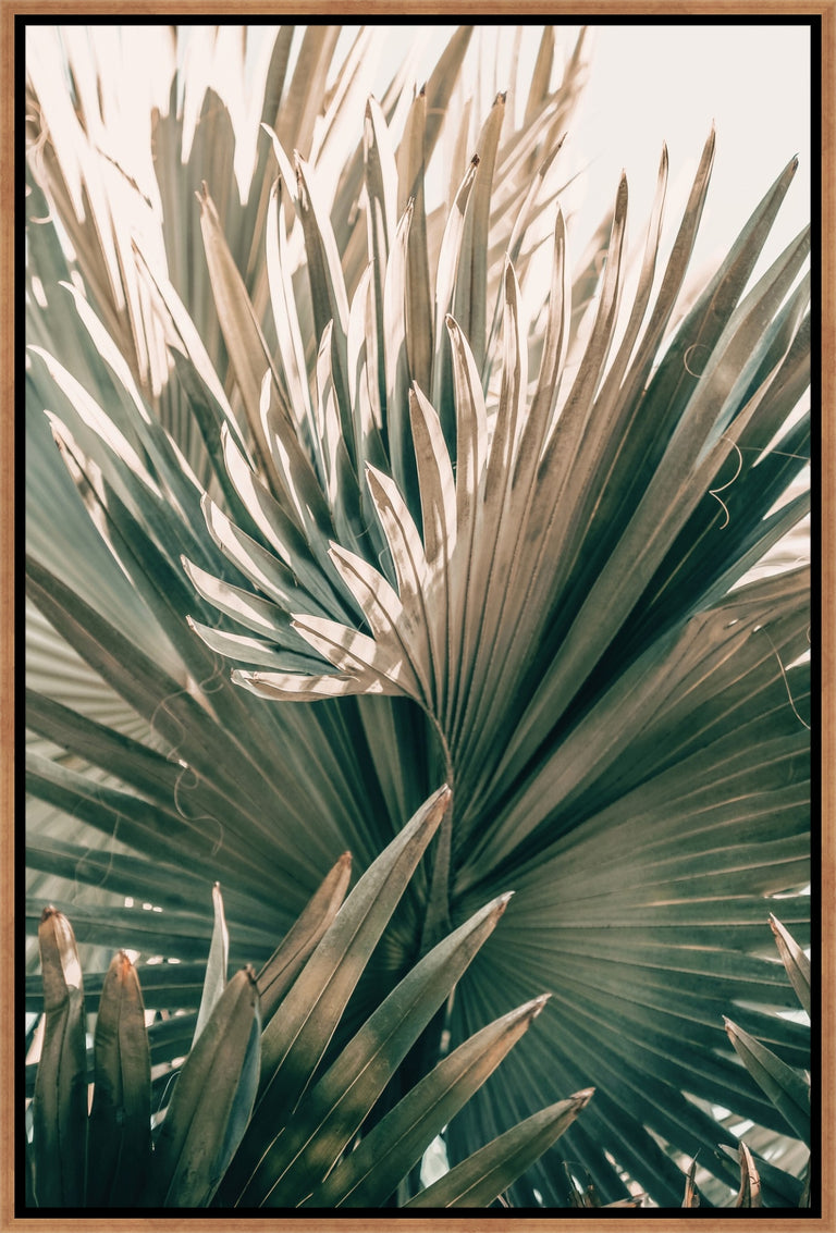 Pastel Palm IV by Alicia Bock | stretched canvas wall art