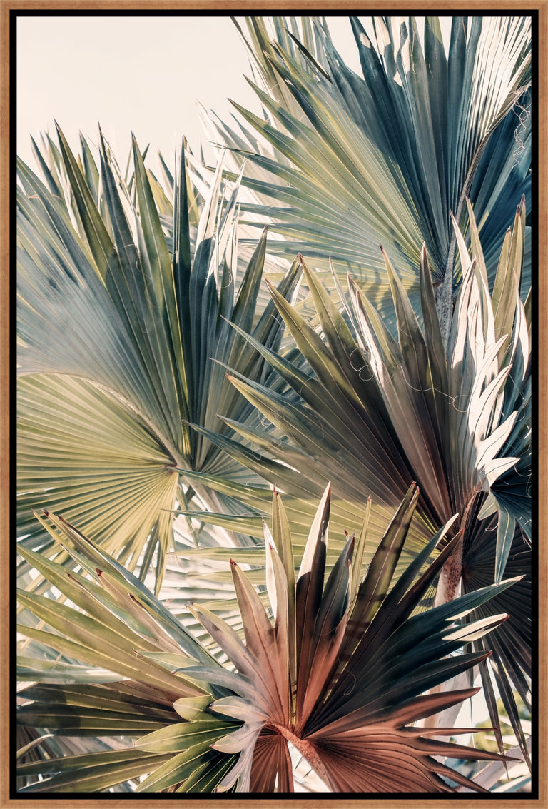 Pastel Palm III by Alicia Bock | stretched canvas wall art