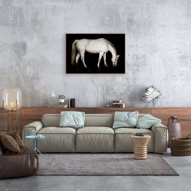 Barn Head Down by Brandon Luther – Southern Bit