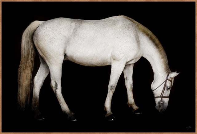 Barn Head Down by Brandon Luther – Southern Bit