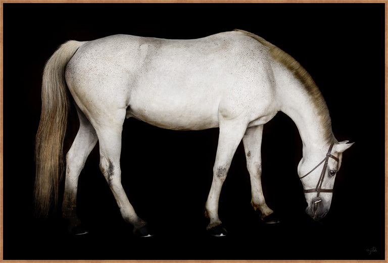 Barn Head Down by Brandon Luther – Southern Bit