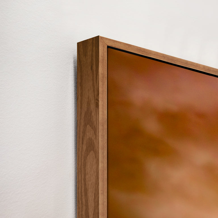 Corner Detail of Golden Hour Buffalo by Colorado Born Images by Rebecca Adams | stretched canvas wall art