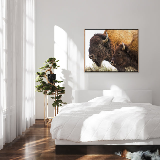 The Bison Pair by Colorado Born Images by Rebecca Adams