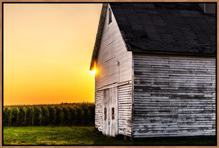Let Light on the Farm by Colorado Born Images by Rebecca Adams | stretched canvas wall art