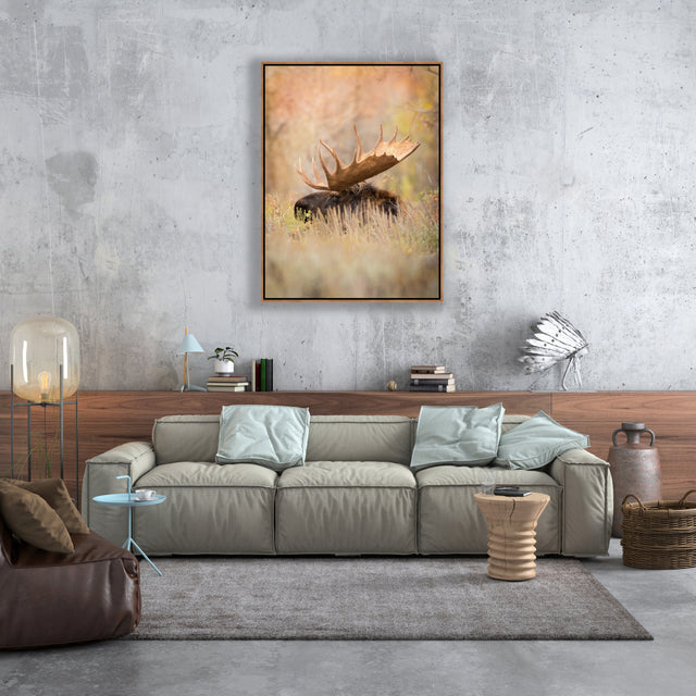 The General by Colorado Born Images by Rebecca Adams