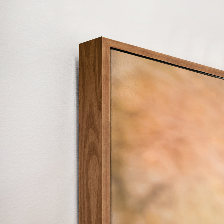 The General by Colorado Born Images by Rebecca Adams