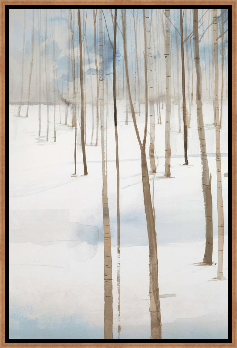 Snow in Summer I by D’Alessandro Leon | stretched canvas wall art