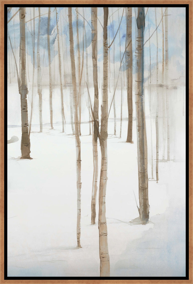 Snow in Summer II by D’Alessandro Leon | stretched canvas wall art