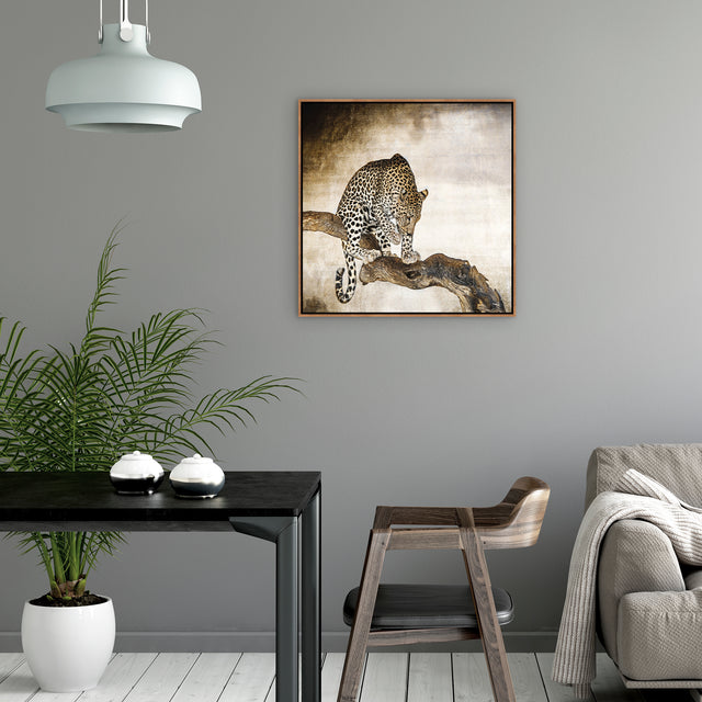 African Leopard by Bobbie Goodrich