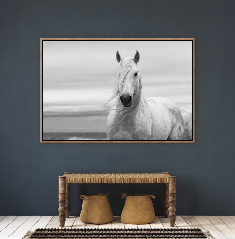 The Noble Horse by Jennifer King and Randy Wilson