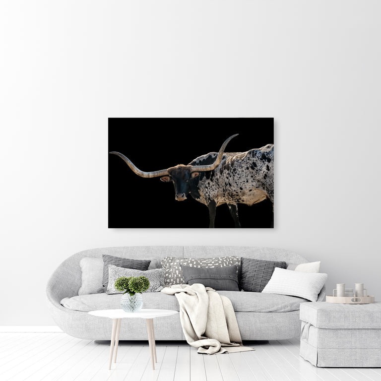 Onyx by Adam Mowery | stretched canvas wall art