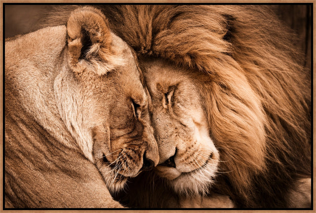 Always and Forever in Africa by Adam Mowery