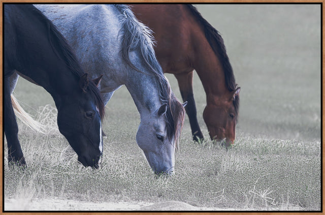 Triple Trouble by Susan Lynn Cooke