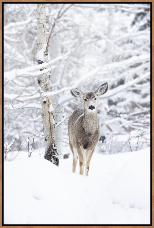 Under the Aspens by Curt & Stacy Howell