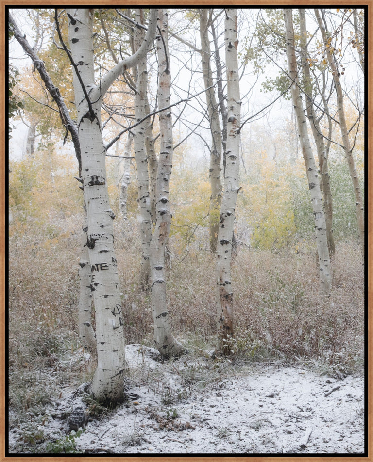 Fade into Winter, Guardsman Pa I by Curt & Stacy Howell