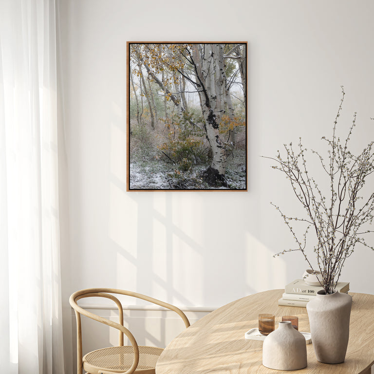 Fade into Winter, Guardsman Pa II by Curt & Stacy Howell