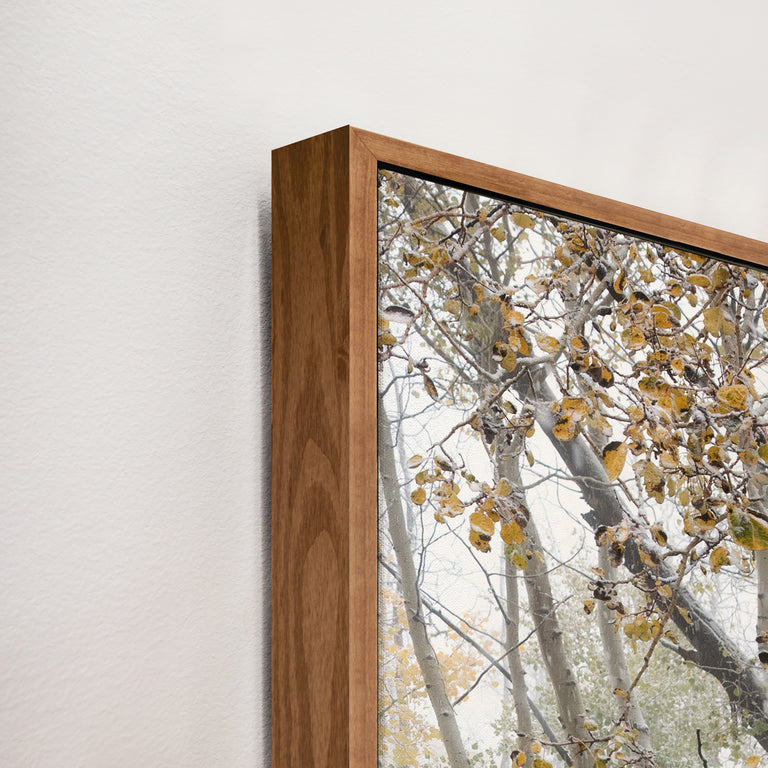 Fade into Winter, Guardsman Pa II by Curt & Stacy Howell