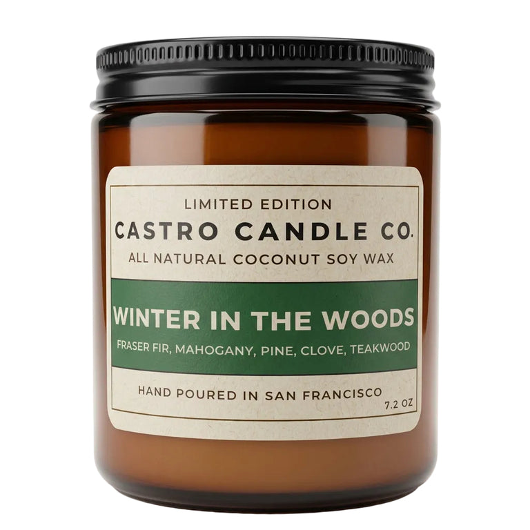 WINTER IN THE WOODS