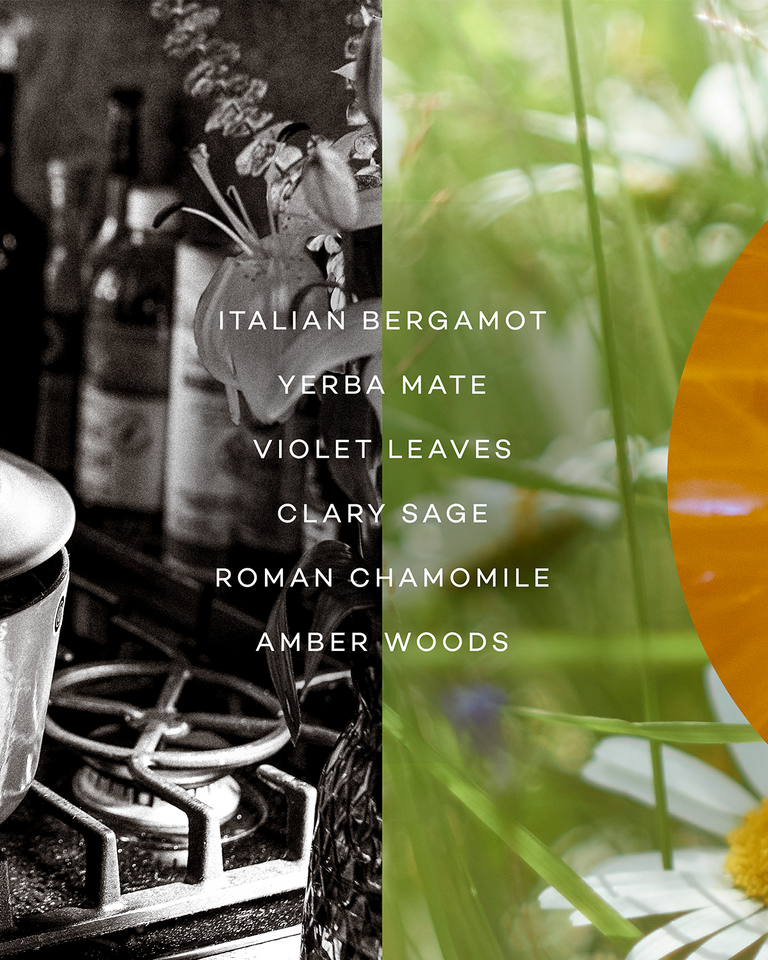 RISE — BERGAMOT & MATE
