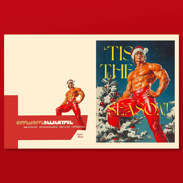 TIS THE SEXY SEASON christmas, gay, holiday card