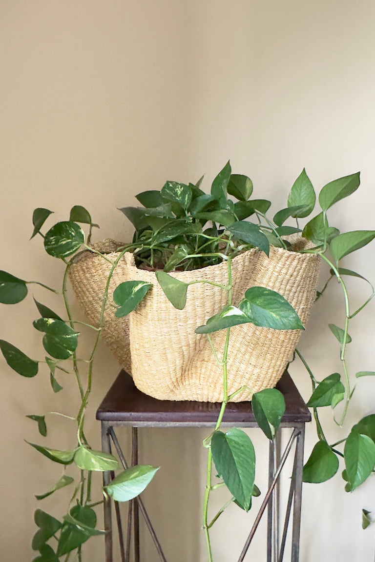 Natural Wave | BASKETS