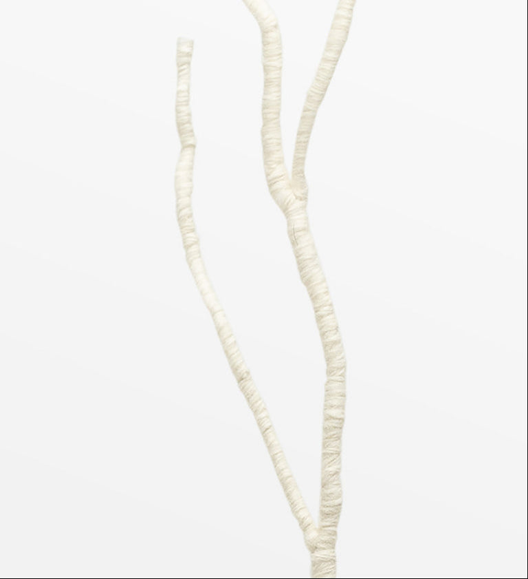 LILLIPUT BRANCH