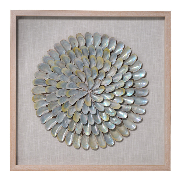 WALL ART, IRIDESCENT SHELL