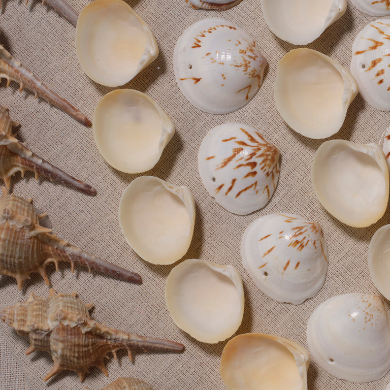 BANKS WALL ART, CREAM AND SHELL