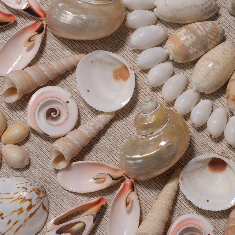 WALL ART, CREAM SHELL