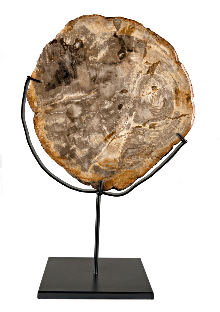 WOOD FOSSIL WITH STAND | OBJECTS