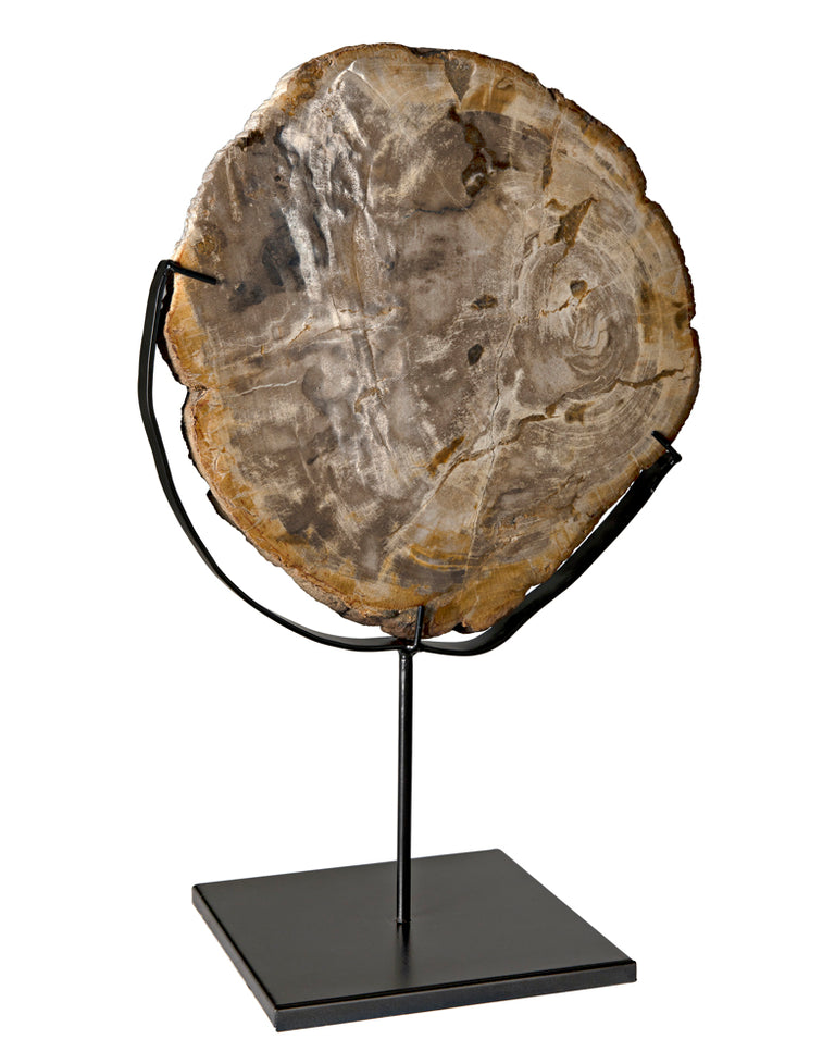 WOOD FOSSIL WITH STAND | OBJECTS