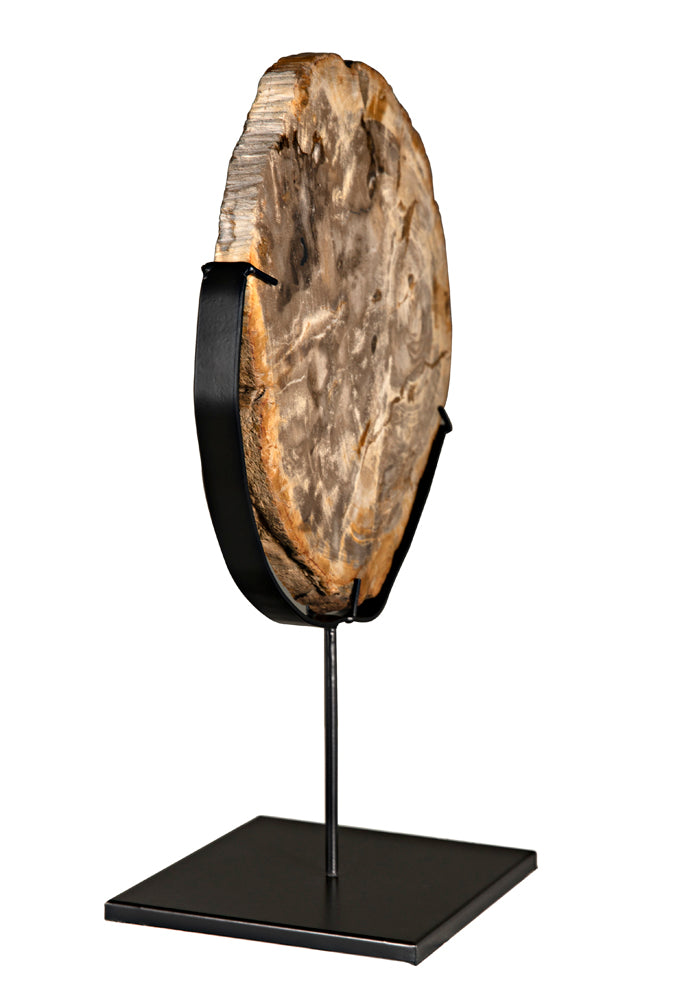 WOOD FOSSIL WITH STAND | OBJECTS