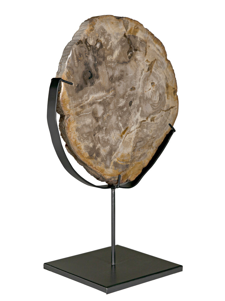 WOOD FOSSIL WITH STAND | OBJECTS